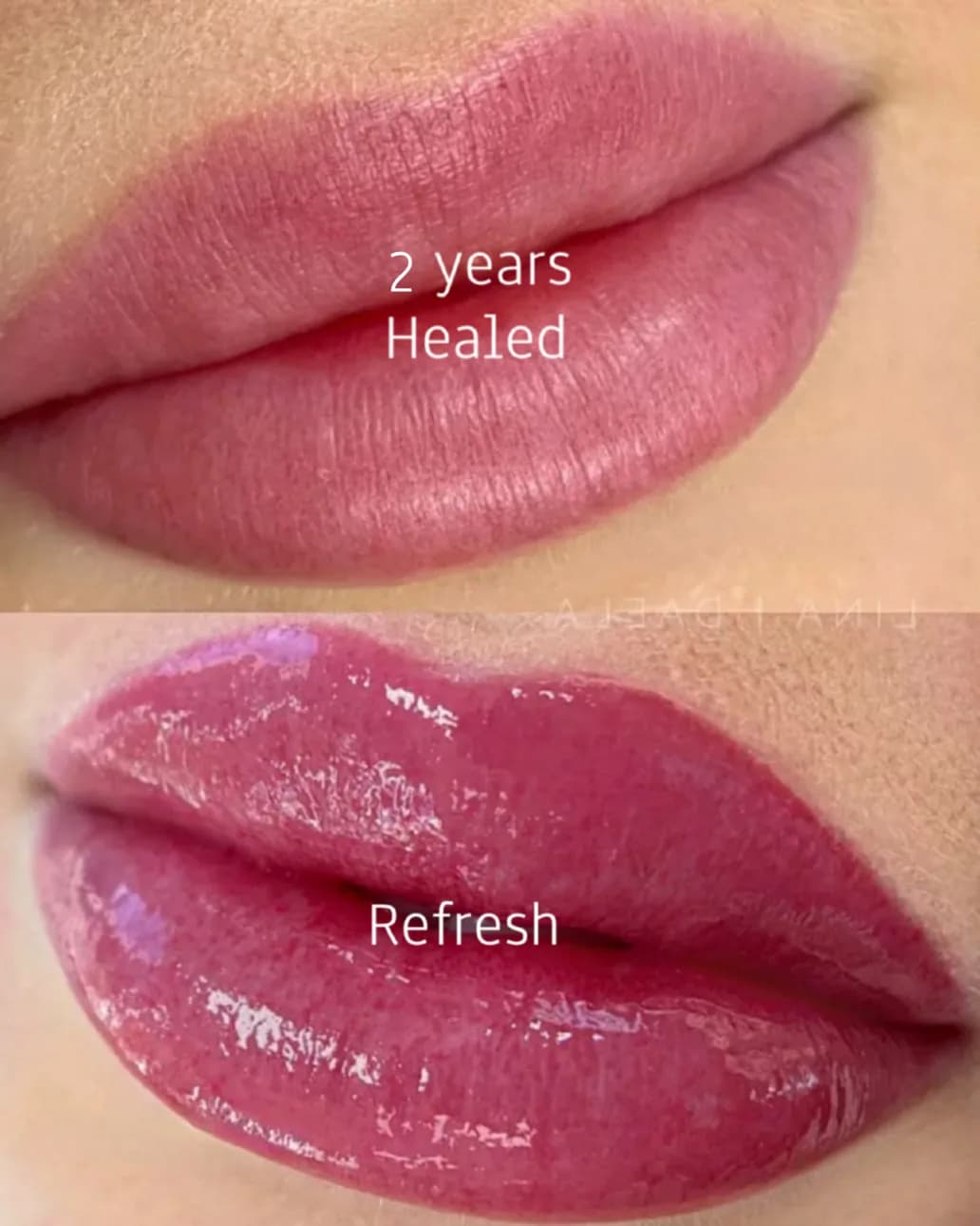 Refresh Color